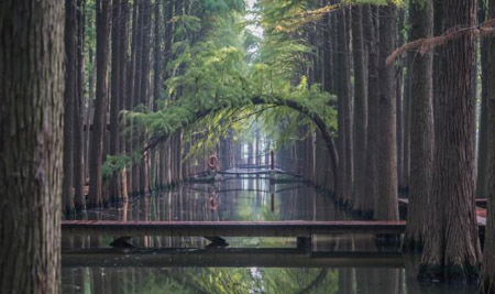 泰州十大最好玩的地方，泰州旅游景點(diǎn)攻略