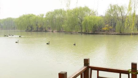 阜陽十大好玩的地方，阜陽有什么好玩的地方景點(diǎn)